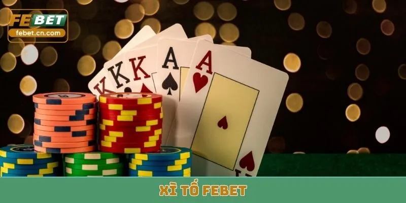 xì tố febet