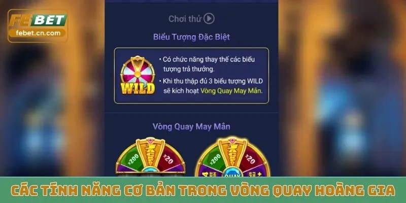 Các tính năng cơ bản trong Vòng Quay Hoàng Gia