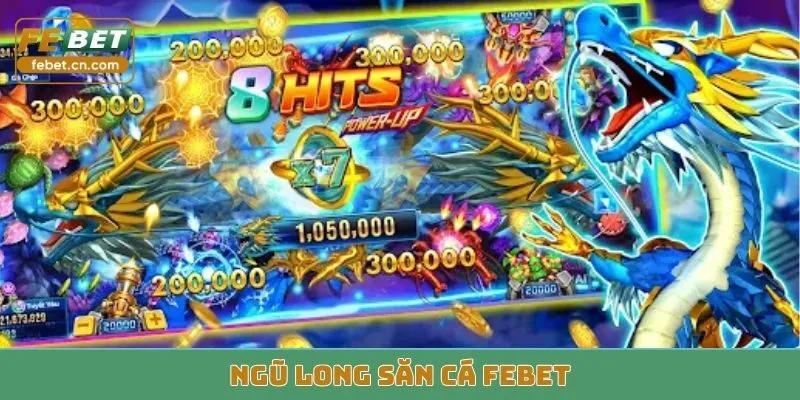 Ngũ Long Săn Cá Febet