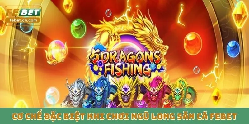 Cơ chế đặc biệt khi chơi Ngũ Long Săn Cá Febet