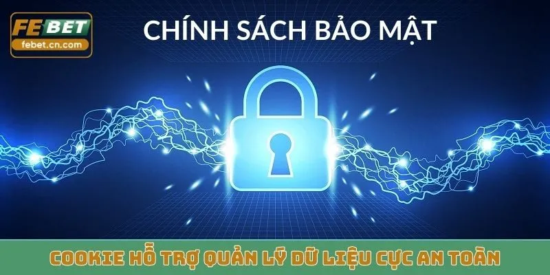 Cookie hỗ trợ quản lý dữ liệu cực an toàn