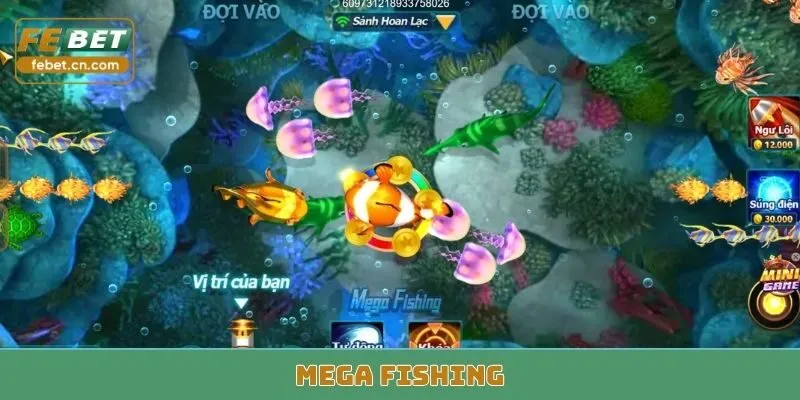 Mega Fishing