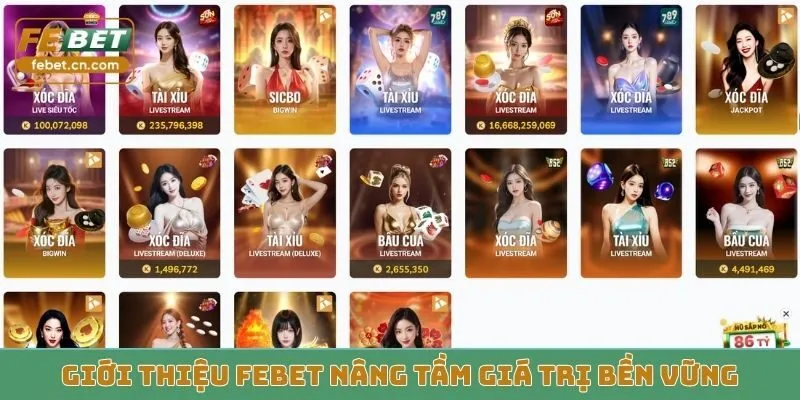 Giới thiệu Febet nâng tầm giá trị bền vững