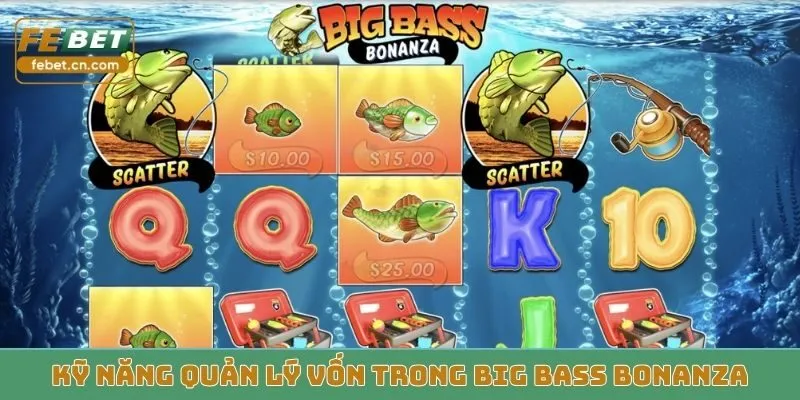 Kỹ năng quản lý vốn trong Big Bass Bonanza